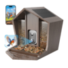 Birdster Retro Wooden Bird Feeder with 2.3K HD Ai Bird Recognition Auto Capture&Notifications Solar-Powered Super endurance capability