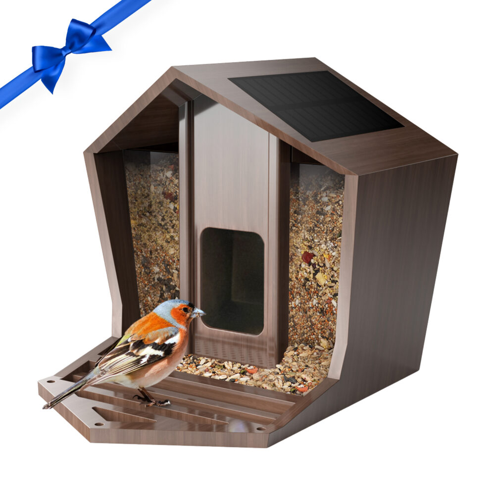 Birdster Retro Birdhouse with Large Capacity waterproof wooden Bird Feeder-Only Birdhouse No Camera
